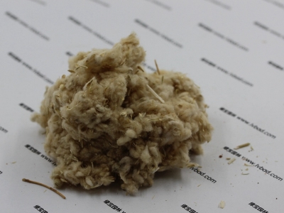 千日紫種子