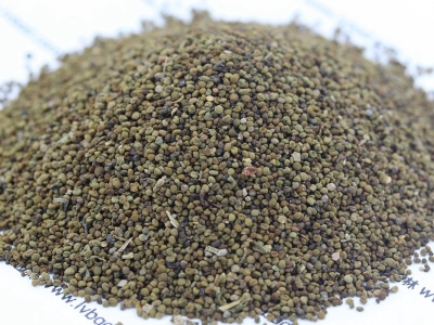 半枝蓮種子種植時(shí)間是什么時(shí)候？