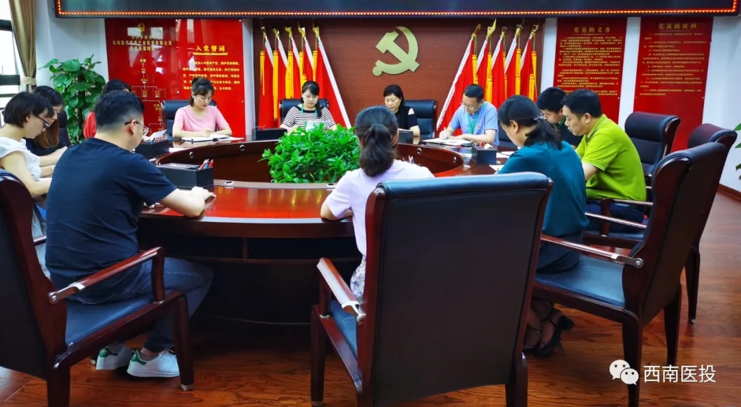 西南醫(yī)投集團第二黨支部開展“逐夢起新航,習近平寄語青年”黨課活動